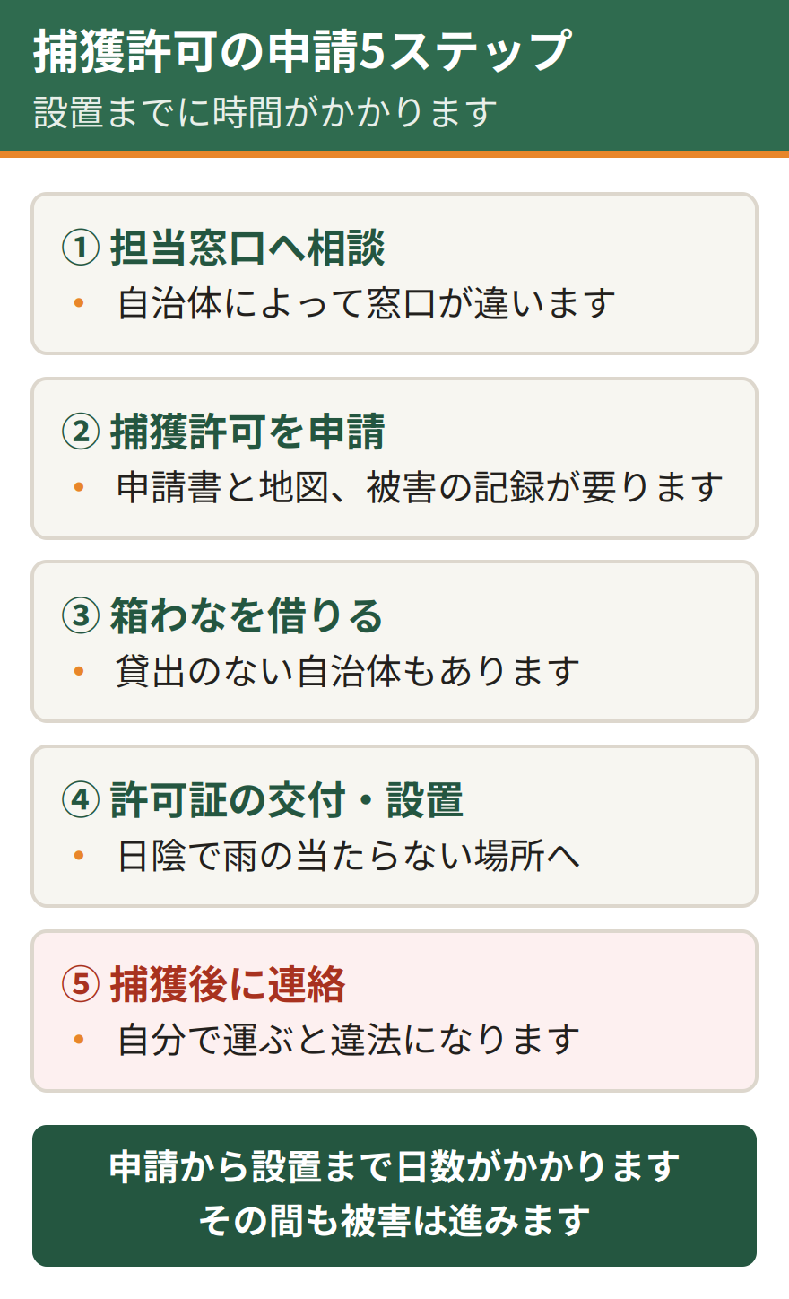 アライグマの捕獲許可を申請する5つのステップ。自治体の担当窓口へ相談する、有害鳥獣捕獲許可を申請する、箱わなを借りるか用意する、許可証の交付を受けて設置する、捕獲後は自治体へ連絡する