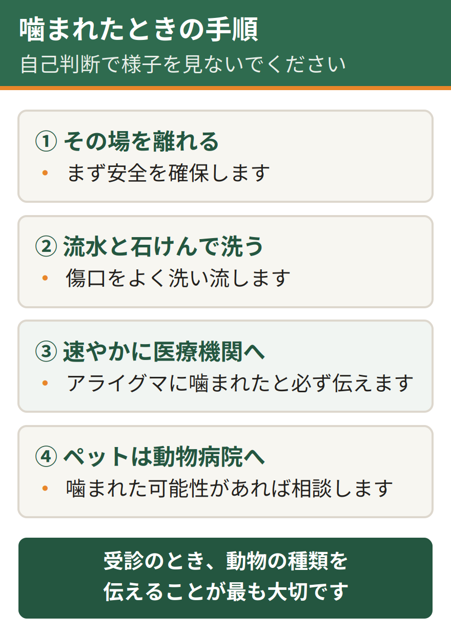 アライグマに噛まれたり引っかかれたときの手順。まずその場を離れて安全を確保する、次に流水と石けんで傷口をよく洗う、続いて速やかに医療機関を受診しアライグマに噛まれたと必ず伝える、ペットが噛まれた場合は動物病院へ連れて行く。自己判断で様子を見ないこと