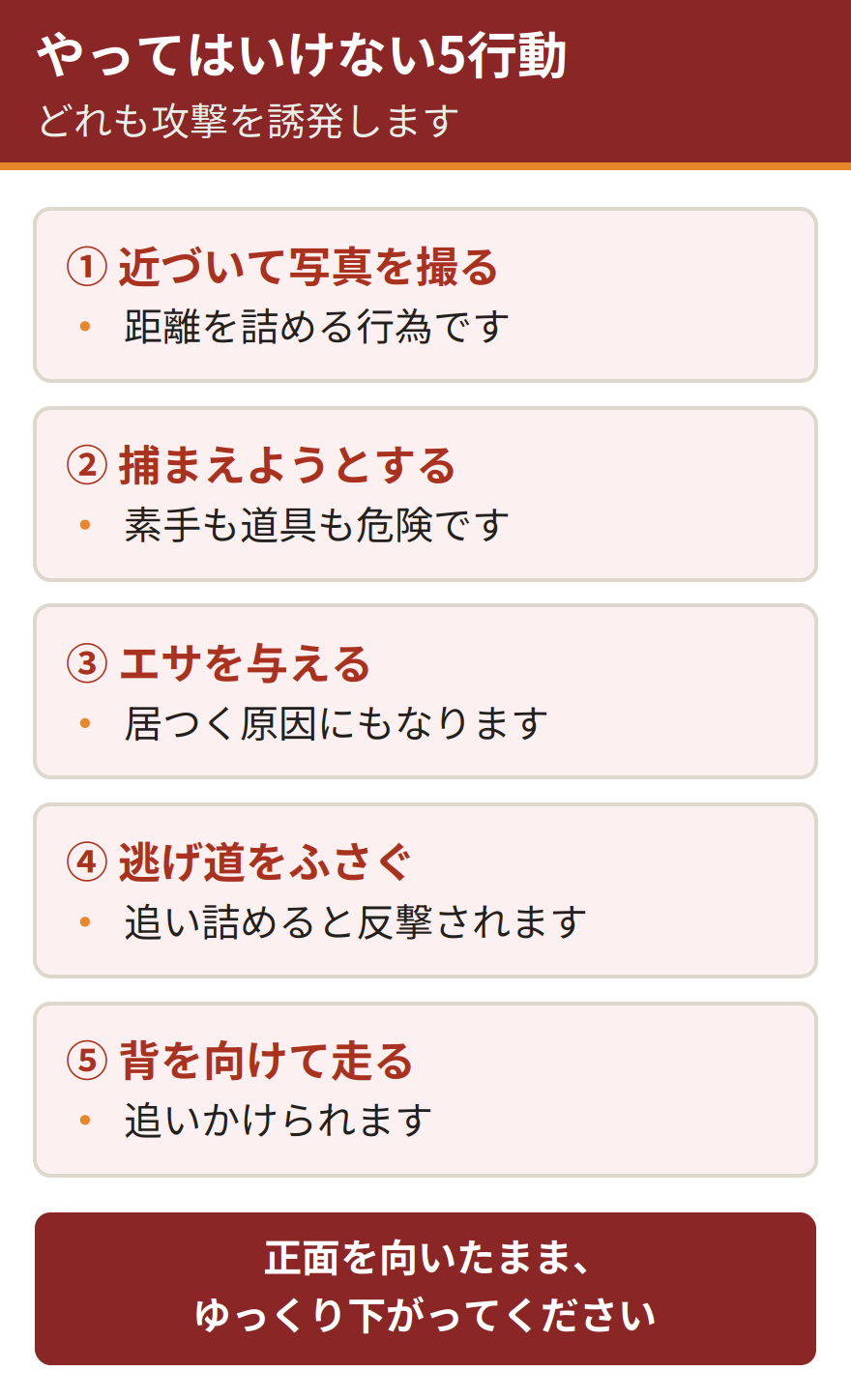 アライグマに遭遇したときやってはいけない5つの行動。近づいて写真を撮る、素手や道具で捕まえようとする、エサを与える、逃げ道をふさいで追い詰める、背を向けて走って逃げる。いずれも攻撃を誘発する行動になる
