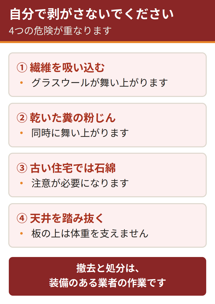 断熱材を自分で剥がしてはいけない4つの理由。グラスウールの繊維を吸い込む、乾いた糞の粉じんが舞う、古い住宅では石綿にも注意が要る、そもそも天井を踏み抜く危険がある