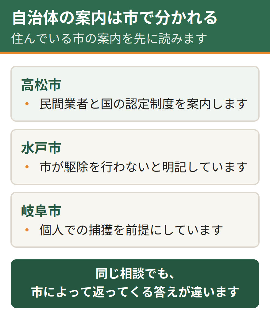 自治体3市が示す依頼先の違い。高松市は民間業者と国の認定制度を案内している。水戸市は市が駆除を行わないと明記している。岐阜市は個人での捕獲を前提にしている