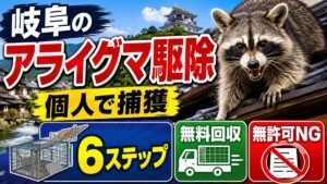 岐阜のアライグマ駆除｜個人で捕獲する6ステップと注意点｜岐阜城と町並みを背景に瓦屋根の上のアライグマ、はこわなと6ステップのアイコン