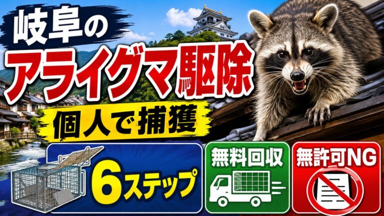 岐阜のアライグマ駆除｜個人で捕獲する6ステップと注意点｜岐阜城と町並みを背景に瓦屋根の上のアライグマ、はこわなと6ステップのアイコン