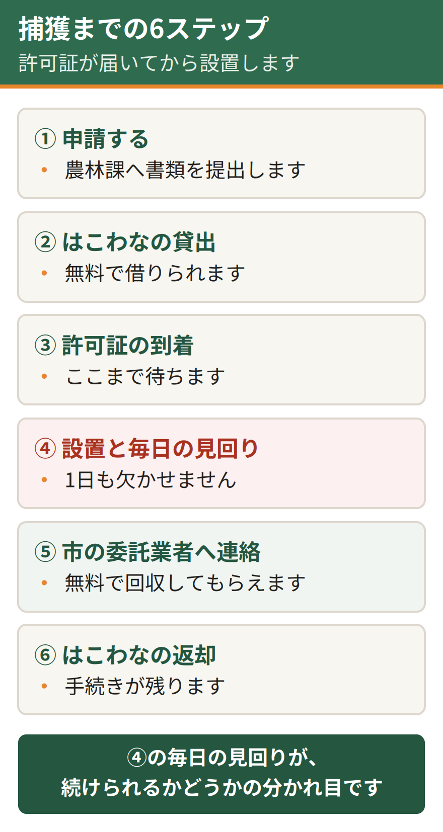 岐阜市で個人が捕獲するまでの6ステップ。申請する、はこわなの貸出を受ける、許可証が届く、設置して毎日見回る、市の委託業者へ連絡する、はこわなを返却する