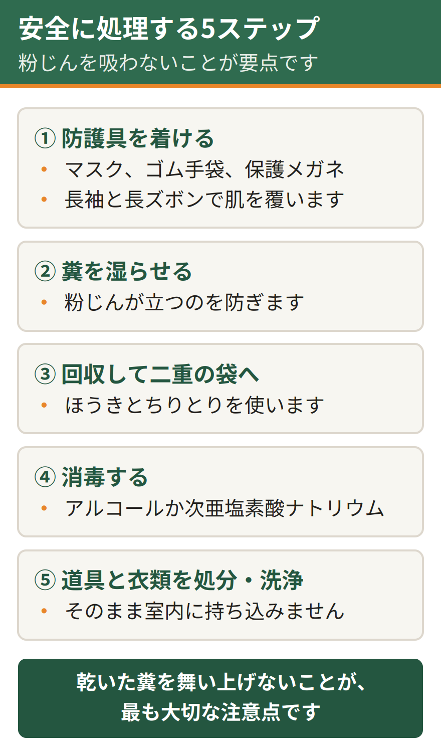 ハクビシンの糞を安全に処理する5ステップ。防護具を着ける、糞を湿らせて粉じんを立てないようにする、ほうきとちりとりで回収して二重の袋に入れる、アルコールや次亜塩素酸ナトリウムで消毒する、使った道具と衣類を処分または洗浄する
