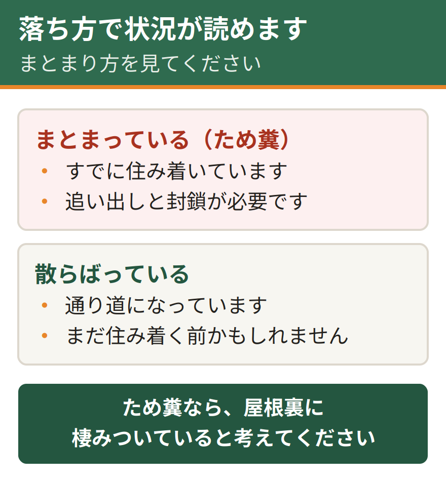 ハクビシンの糞がため糞か散在かで意味が変わる。同じ場所にまとまっていれば住み着いた状態を示し、点々と散らばっていれば通り道になっている状態を示す。落ち方から今の状況が読める