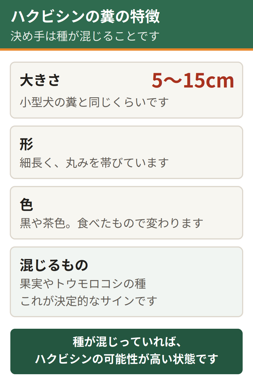 ハクビシンの糞の4つの特徴。大きさは5センチから15センチで小型犬の糞と同じくらい、形は細長く丸みを帯びている、色は黒や茶色で食べたものによって変わる、果実やトウモロコシの種が混じっているのが決定的なサイン