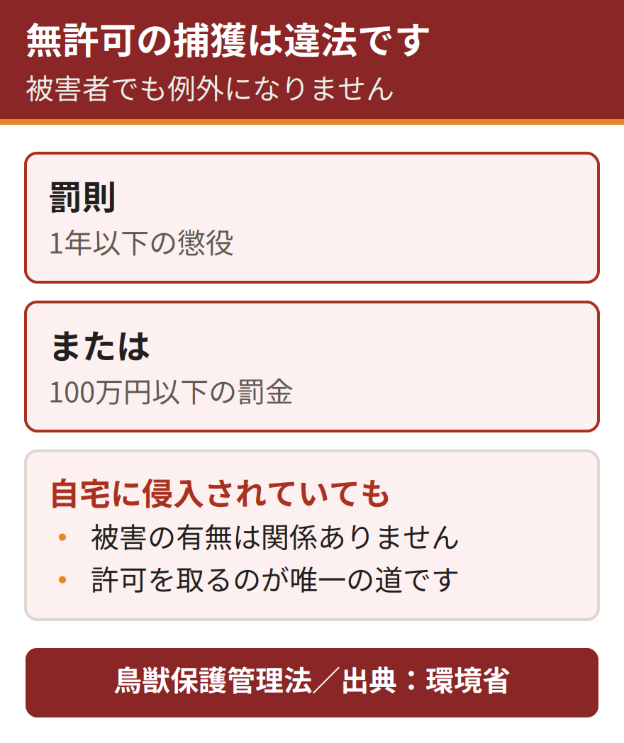 ハクビシンを無許可で捕獲または殺傷した場合の罰則。鳥獣保護管理法違反となり、1年以下の懲役または100万円以下の罰金が科される。被害を受けている本人であっても例外にはならない。出典は環境省