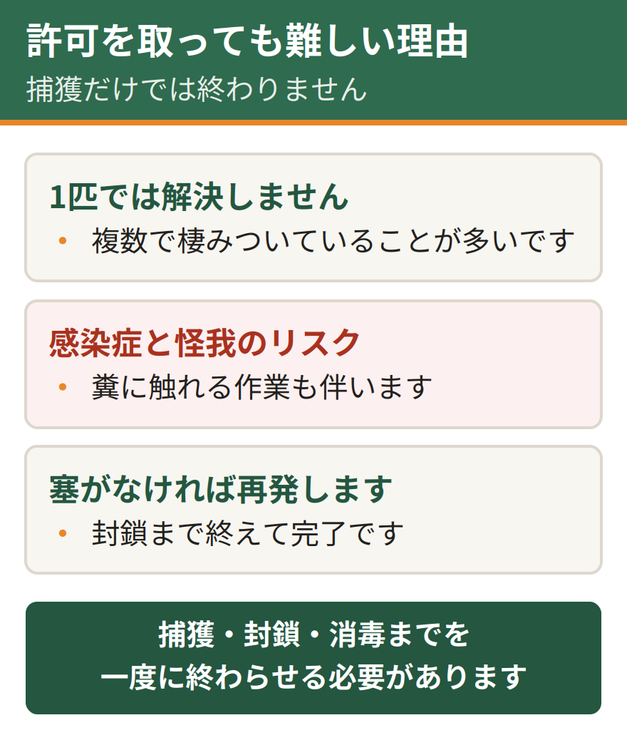 許可を取っても自力での駆除が難しい3つの理由。1匹捕獲しても群れの残りがいるため解決しない、感染症と噛まれる怪我のリスクがある、侵入口を塞がなければ必ず再発する