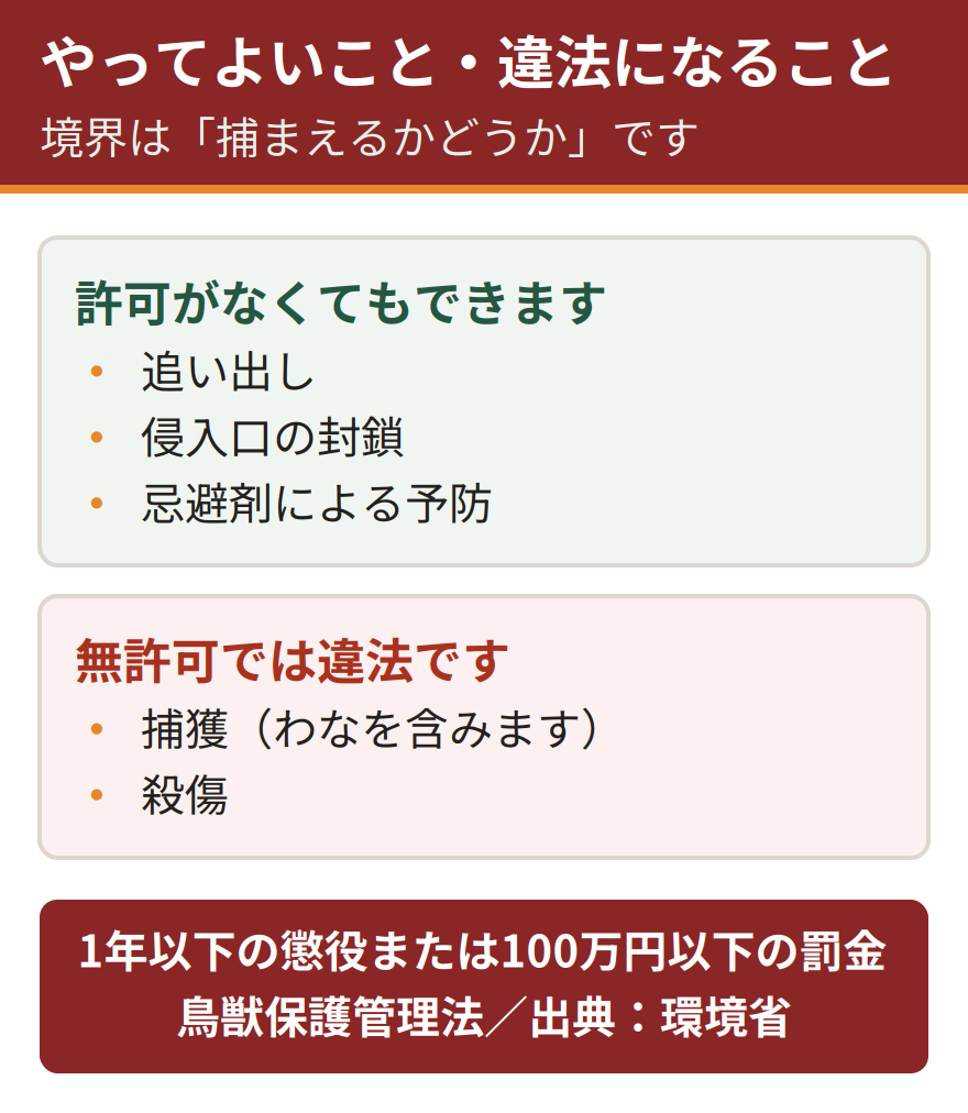 ハクビシンへの対処の可否。許可がなくてもできるのは追い出しと侵入口の封鎖、忌避剤による予防まで。捕獲と殺傷は無許可で行うと鳥獣保護管理法違反となり、1年以下の懲役または100万円以下の罰金が科される。出典は環境省