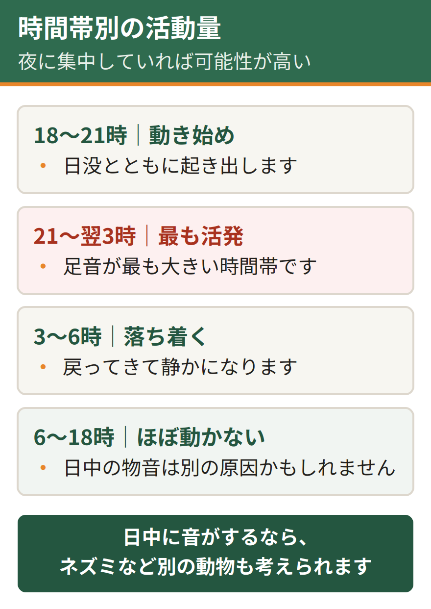 ハクビシンの時間帯別の活動量。夜行性のため日没後の18時から21時に活動が始まり、21時から翌3時にかけて最も活発になり、3時から6時に落ち着き、日中の6時から18時はほとんど動かない。夜に音が集中していればハクビシンの可能性が高い