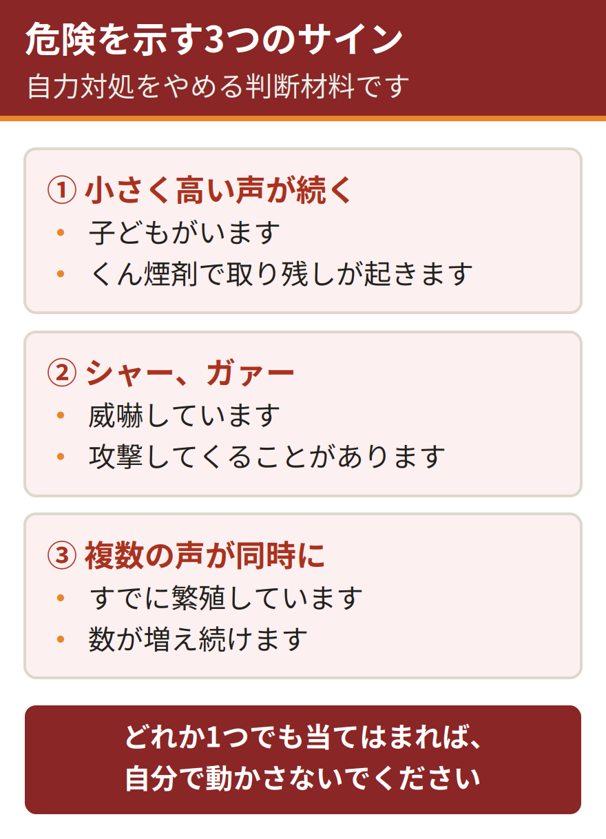 鳴き声で分かる3つの危険なサイン。小さく高い声が続く場合は子どもがいてくん煙剤を使うと取り残しが起きる、シャーやガァーという威嚇の声は攻撃してくる可能性があり近づかない、複数の声が同時に聞こえる場合は繁殖しており数が増え続けている。いずれも自力対処をやめる判断材料になる