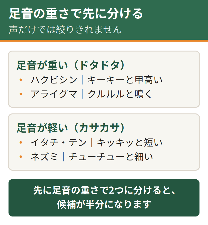 屋根裏の動物を声と足音の組み合わせで絞り込む方法。足音が重いのはハクビシンとアライグマで、ハクビシンはキーキーと甲高く、アライグマはクルルルと鳴く。足音が軽いのはイタチとテンとネズミで、イタチはキッキッ、ネズミはチューチューと細い声で鳴く