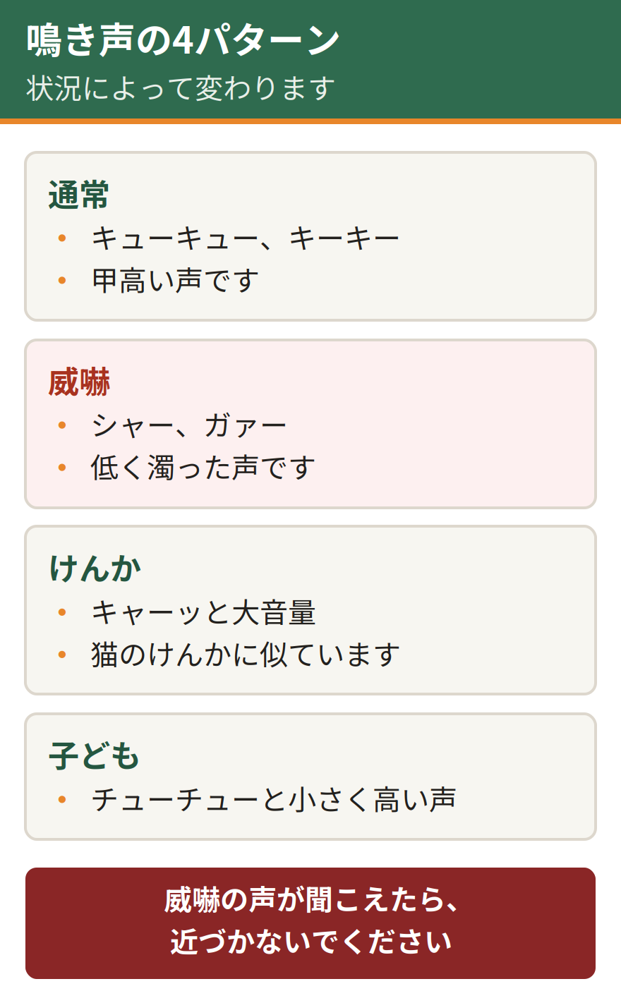 ハクビシンの鳴き声4パターン。通常はキューキューやキーキーという甲高い声、威嚇のときはシャーやガァーという低く濁った声、けんかのときはキャーッと猫のけんかに似た大音量、子どもはチューチューと小さく高い声で鳴く。威嚇の声が聞こえたら近づかないこと
