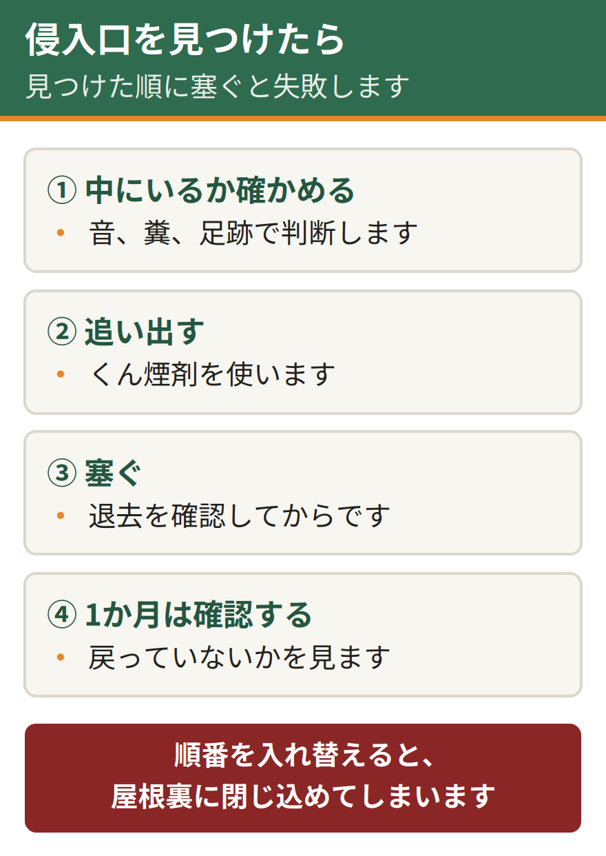 ハクビシンの侵入口を見つけたときの手順。まず中にいるかを確かめる、次に追い出す、それから塞ぐ、最後に1か月は確認を続ける。見つけた順に塞いでいくと閉じ込め事故になる