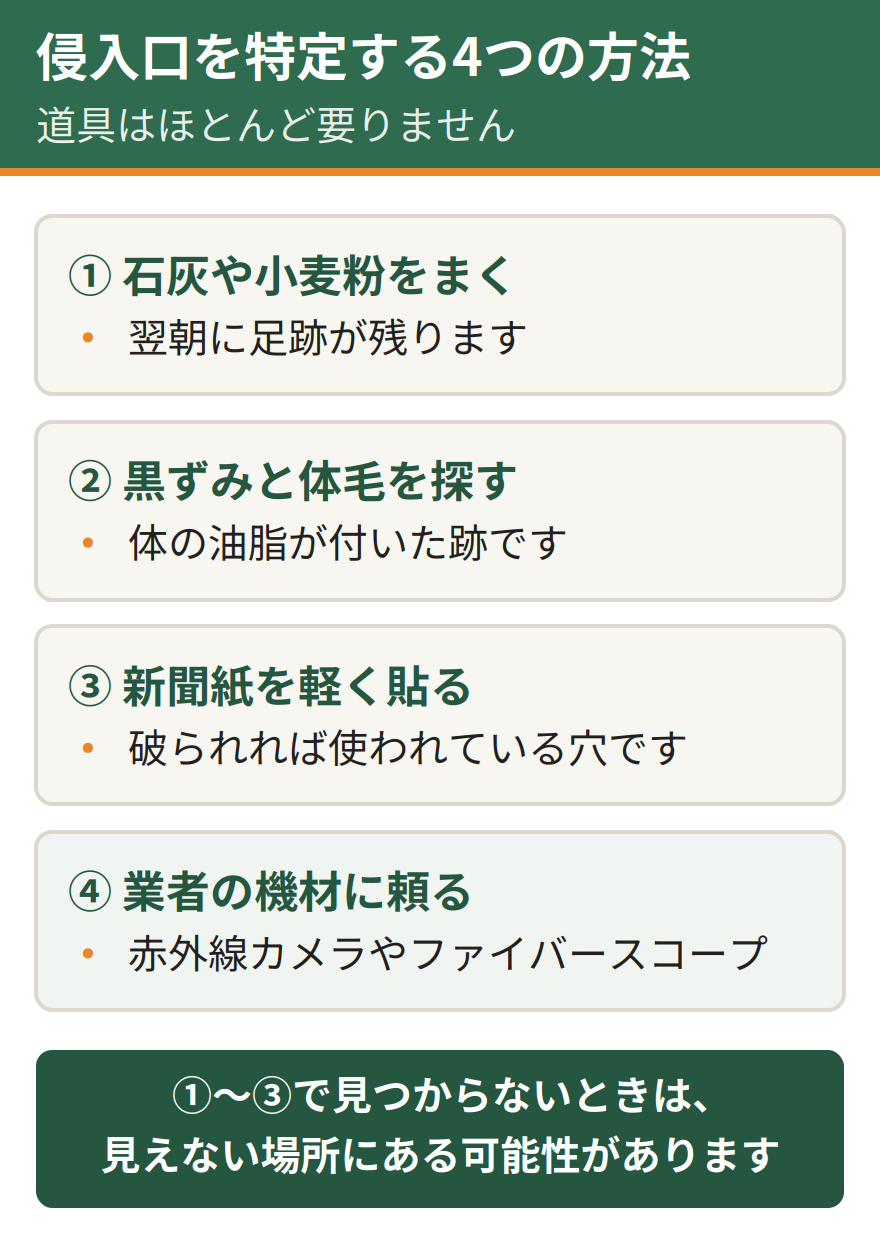 侵入口を特定する4つの方法。疑わしい穴の下に石灰や小麦粉をまいて足跡を取る、体の油脂による黒ずみと体毛を探す、新聞紙を軽く貼って破られるか確認する、見つからない場合は赤外線カメラやファイバースコープを持つ業者に依頼する