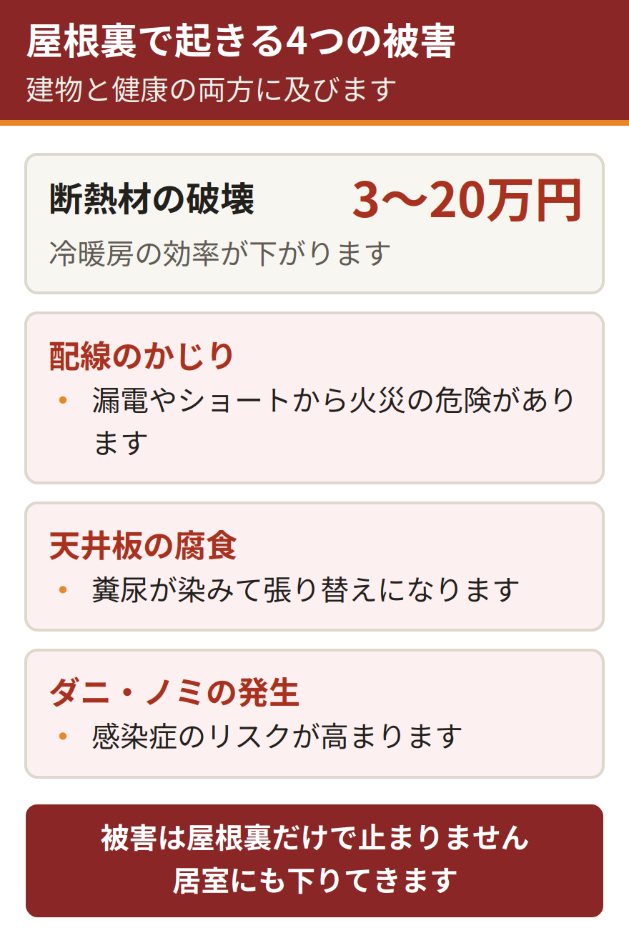 ハクビシンが屋根裏にいると起きる4つの被害。断熱材が破壊され冷暖房効率が下がり交換に3万円から20万円かかる、配線をかじられ漏電やショートから火災につながる危険がある、糞尿で天井板が腐り張り替えが必要になる、ダニやノミが発生し感染症のリスクが高まる
