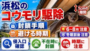 浜松のコウモリ駆除｜市が示す封鎖手順と避けるべき時期｜浜松城を背景に軒下の隙間から飛び出すコウモリ、1cmの隙間と封鎖手順のアイコン