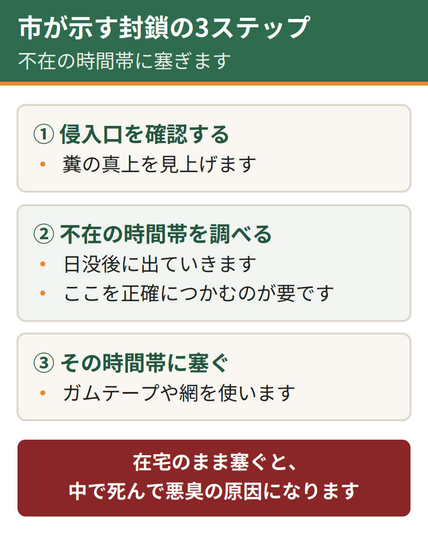 浜松市が示す封鎖の3ステップ。侵入口を確認する、コウモリが家にいない時間帯を調べる、その時間帯にガムテープや網で塞ぐ