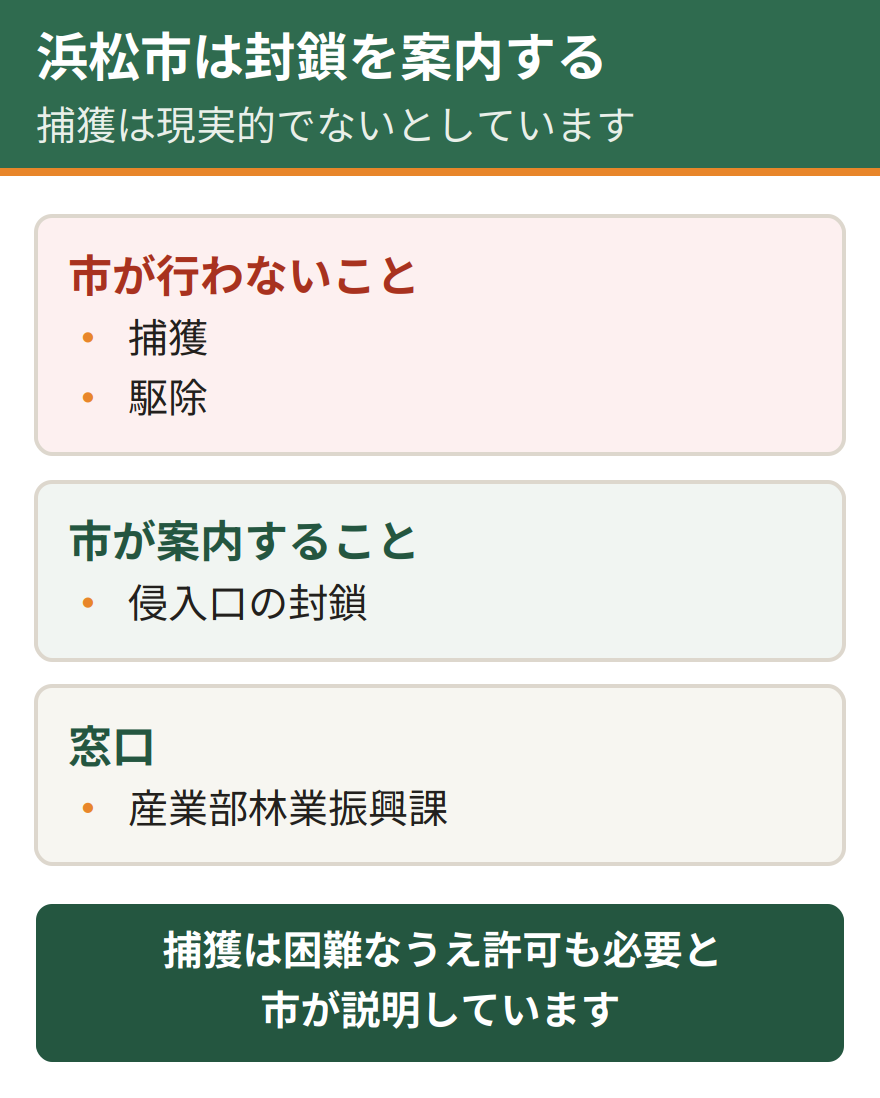 浜松市のコウモリ対応。市は捕獲も駆除も行わない。捕獲は困難なうえ許可も必要であるとして、侵入口の封鎖を案内している。窓口は産業部林業振興課