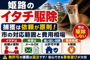 姫路のイタチ駆除｜捕獲は依頼が原則・市の対応範囲と費用相場｜姫路城を背景に屋根裏の梁にいるイタチ、依頼が原則・メール申請可・追い出しは許可不要のアイコン