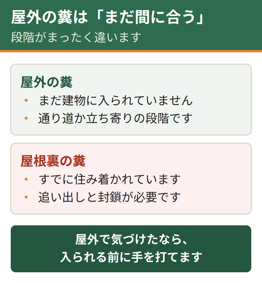 屋外の糞と屋根裏の糞では被害の段階が違う。屋外の糞はまだ建物に入られていない段階を示す。屋根裏の糞はすでに住み着かれている段階を示す。屋外で見つけた時点なら、まだ間に合う
