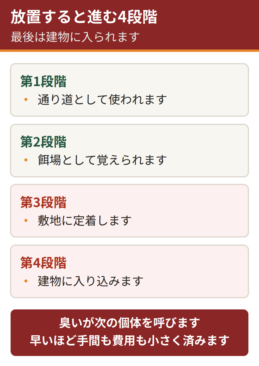屋外の糞を放置したときに進む4段階。通り道として使われる、餌場として覚えられる、敷地に定着する、建物に入り込む