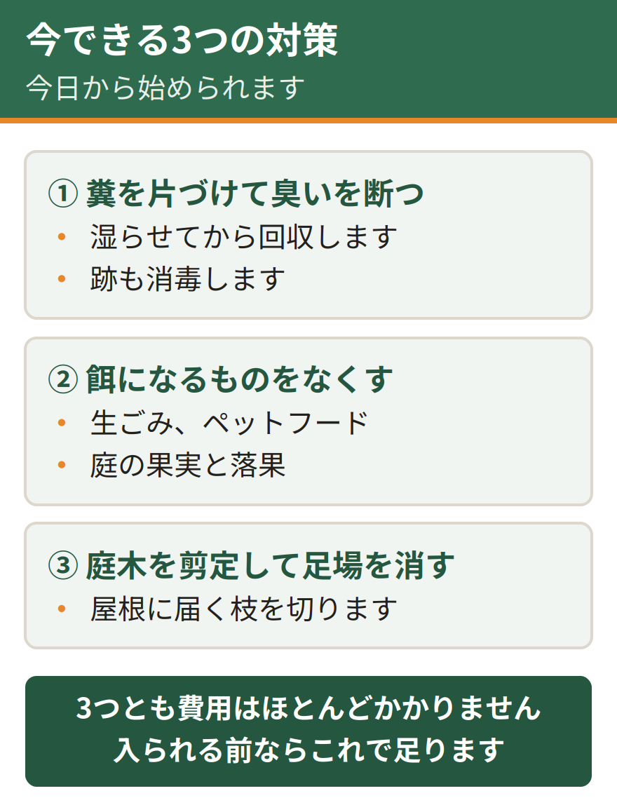 屋外の糞に対して今できる3つの対策。糞を片づけて臭いを断つ、餌になるものをなくす、庭木を剪定して足場を消す