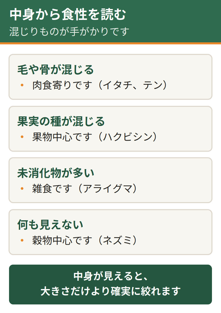 糞の中身から食べたものを読む方法。毛や骨が混じっていれば肉食寄り、果実の種が混じっていれば果物中心、未消化物が多ければ雑食、何も見えなければ穀物中心。中身が分かると食性から動物を絞れる
