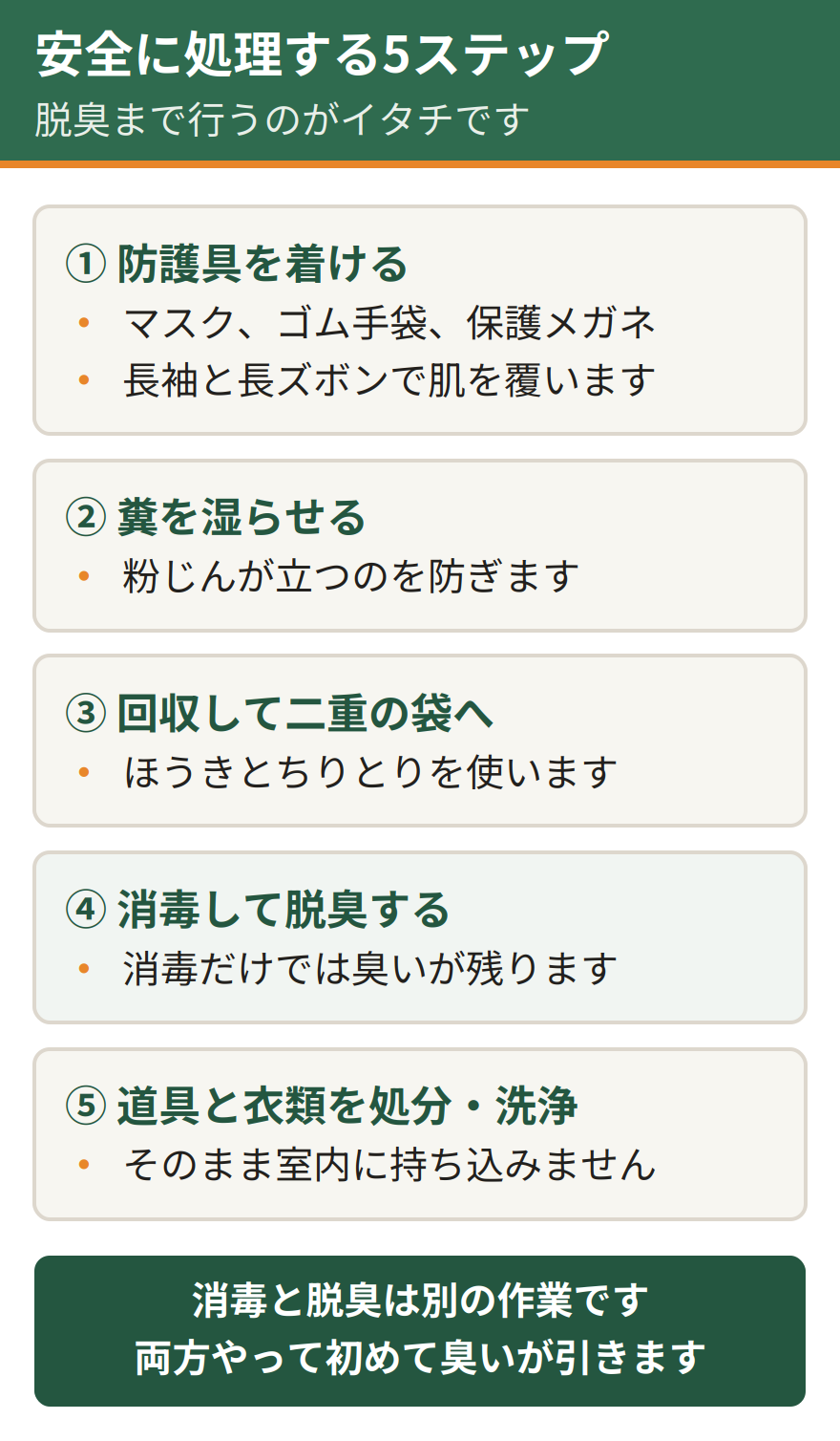 イタチの糞を安全に処理する5ステップ。防護具を着ける、糞を湿らせて粉じんを立てない、ほうきとちりとりで回収して二重の袋に入れる、消毒したうえで脱臭まで行う、使った道具と衣類を処分または洗浄する