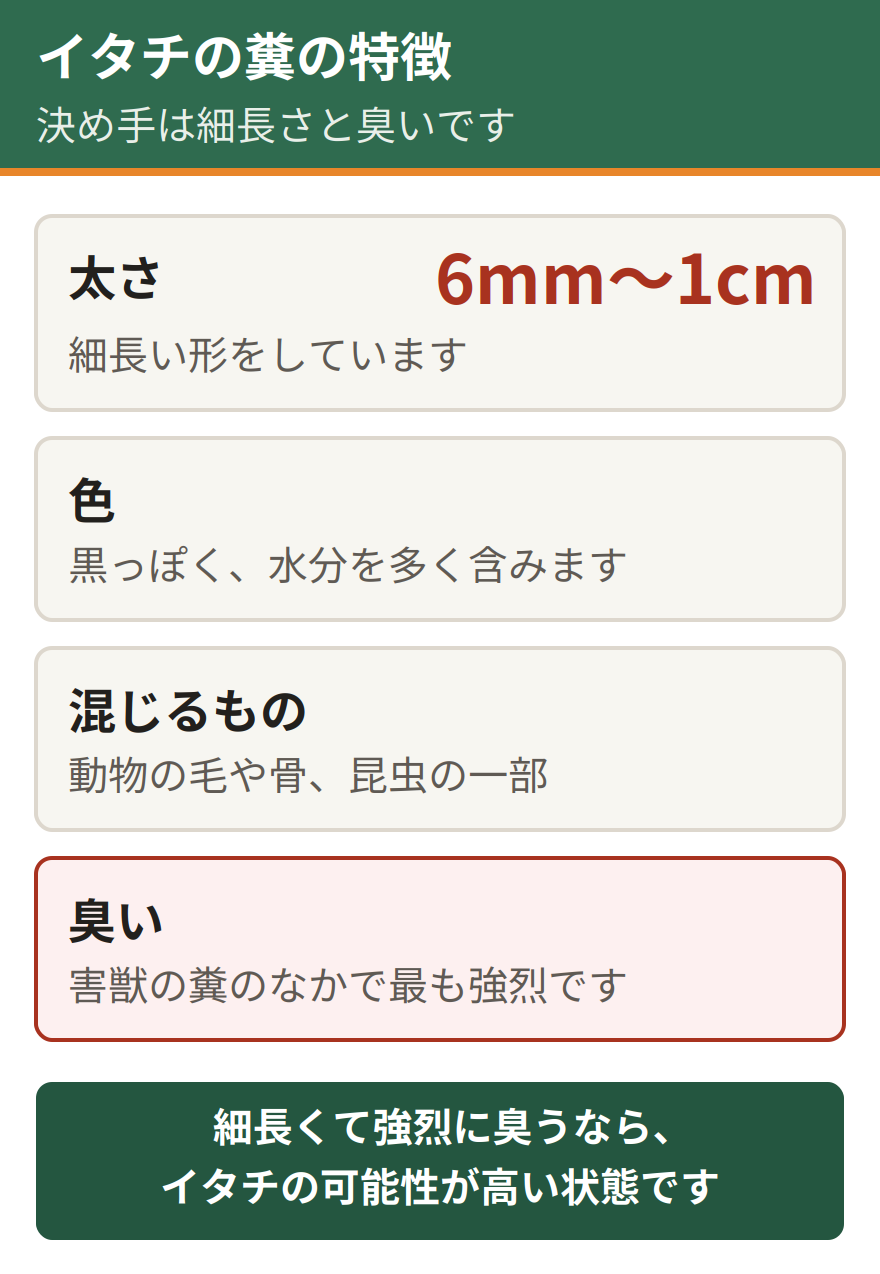 イタチの糞の4つの特徴。太さは6ミリから1センチと細長い、色は黒っぽく水分を多く含む、動物の毛や骨や昆虫の一部が混じる、強烈な悪臭を放つ。決め手は細長さと臭いの強さ
