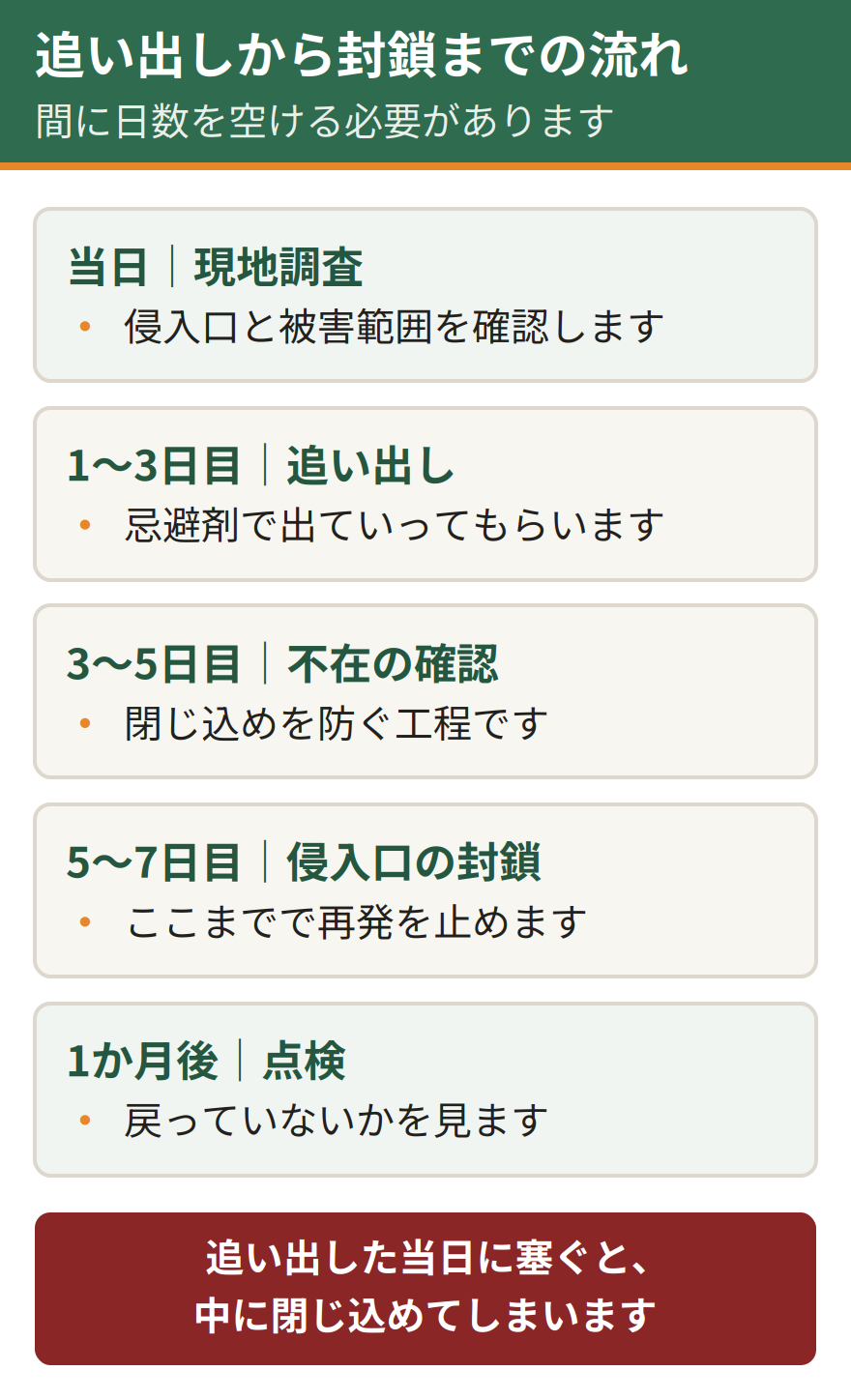 イタチ駆除で追い出しから封鎖までの流れ。当日に現地調査、1日目から3日目に忌避剤で追い出し、3日目から5日目に不在を確認、5日目から7日目に侵入口を封鎖、1か月後に点検する。追い出しと封鎖の間に日数が必要になる