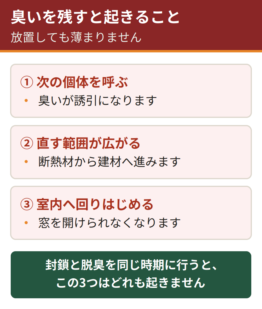 イタチの臭いを残したままにすると起きる3つのこと。次の個体を呼ぶ、直す範囲が広がる、室内へ回りはじめる。放置すると直す範囲が広がる