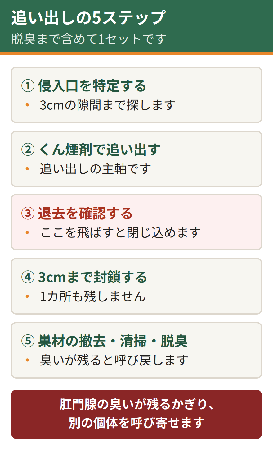 イタチを追い出す5つのステップ。侵入口を特定する、くん煙剤で追い出す、退去を確認する、3センチの隙間まですべて封鎖する、巣材を撤去して清掃と脱臭を行う。イタチは肛門腺から強い臭いを出すため脱臭まで必要になる