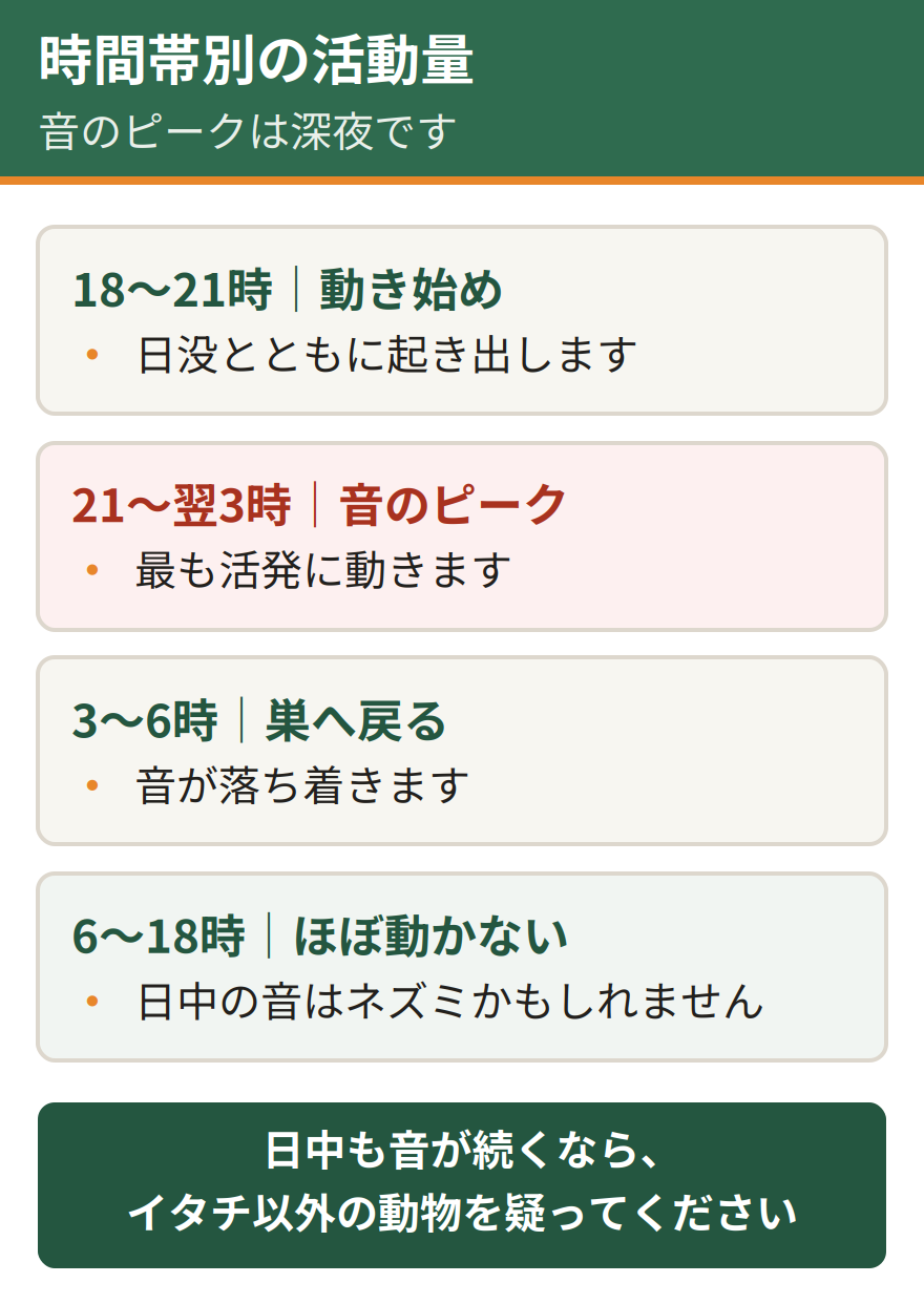 イタチの時間帯別の活動量。日没後の18時から21時に活動を始め、21時から翌3時が最も活発で音のピークになる、3時から6時に巣へ戻り、日中の6時から18時はほとんど動かない。日中に音がするならネズミの可能性が高い