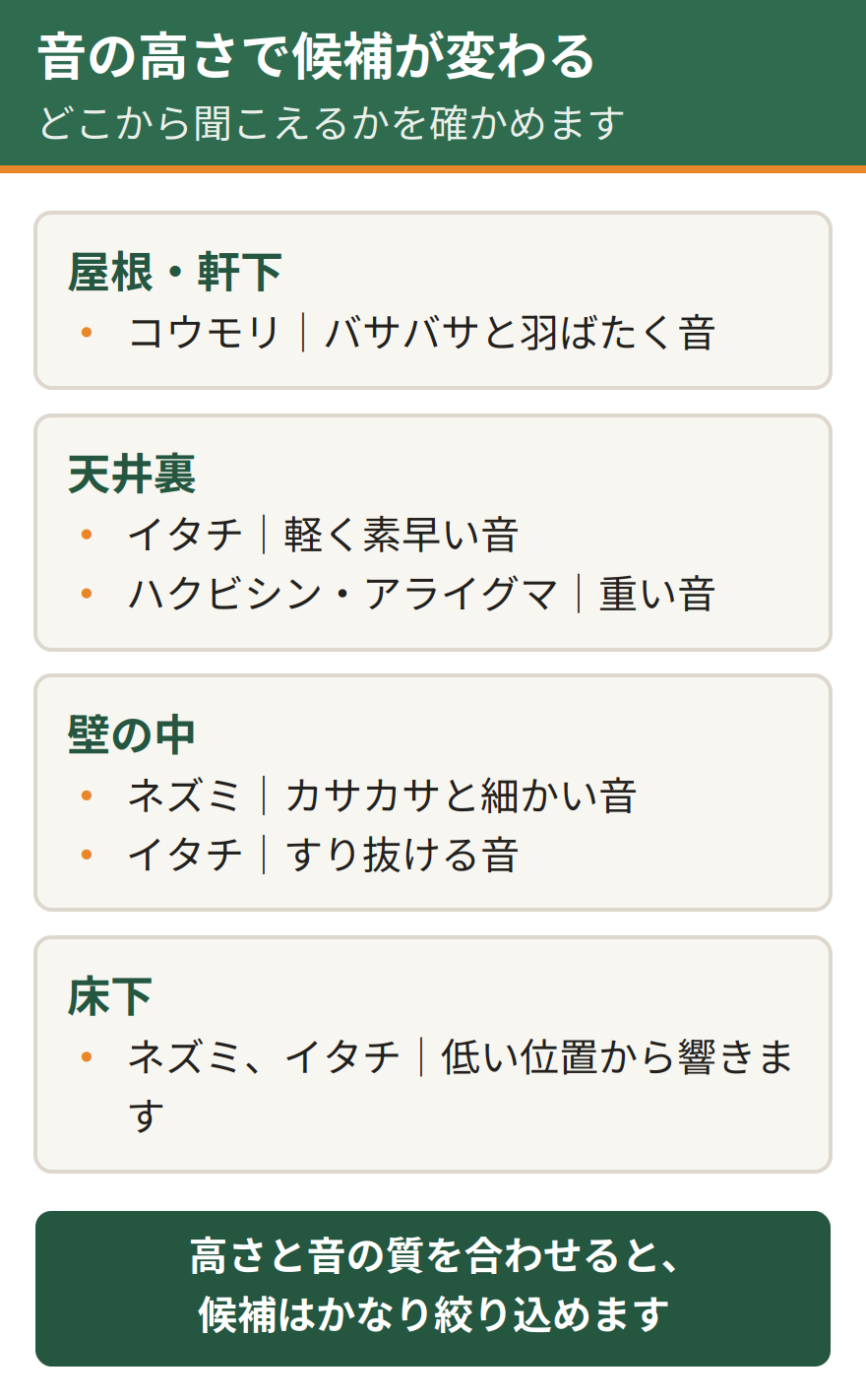 音が聞こえる高さで屋根裏の動物を絞る方法。屋根と軒下ではコウモリ、天井裏ではイタチとハクビシンとアライグマ、壁の中ではネズミとイタチ、床下ではネズミとイタチが入りやすい。音が聞こえる高さで候補が変わる