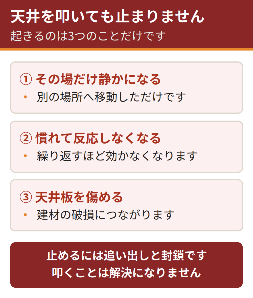 天井を叩いても解決しない理由。天井を叩くと驚いて一時的に静かになるが、屋根裏の別の場所へ移動するだけで、しばらくすると音が戻ってくる。繰り返すうちに慣れて反応しなくなり、天井板を傷めるリスクもある。根本解決には追い出しと侵入口の封鎖が必要