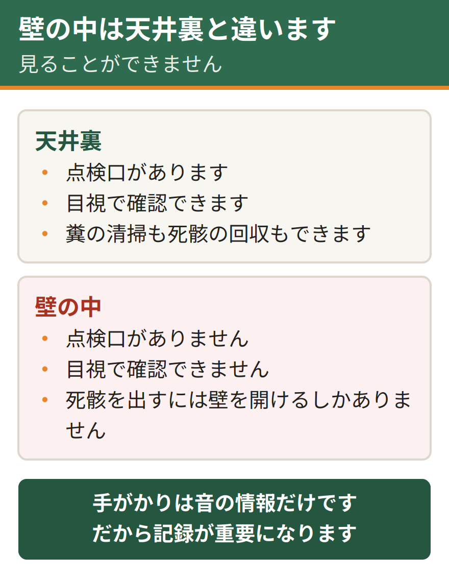 壁の中と天井裏の条件の比較。点検口の有無、目視での確認、糞の清掃、死骸の回収、手がかりの5項目で違いがある。壁の中は点検口がなく、手がかりは音の情報だけになる