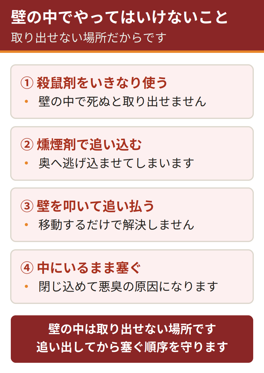 壁の中でやってはいけない4つの対処。殺鼠剤をいきなり使う、燻煙剤で追い込む、壁を叩いて追い払う、中にいるまま侵入口を塞ぐ。いずれも壁の中で死骸が残る原因になる