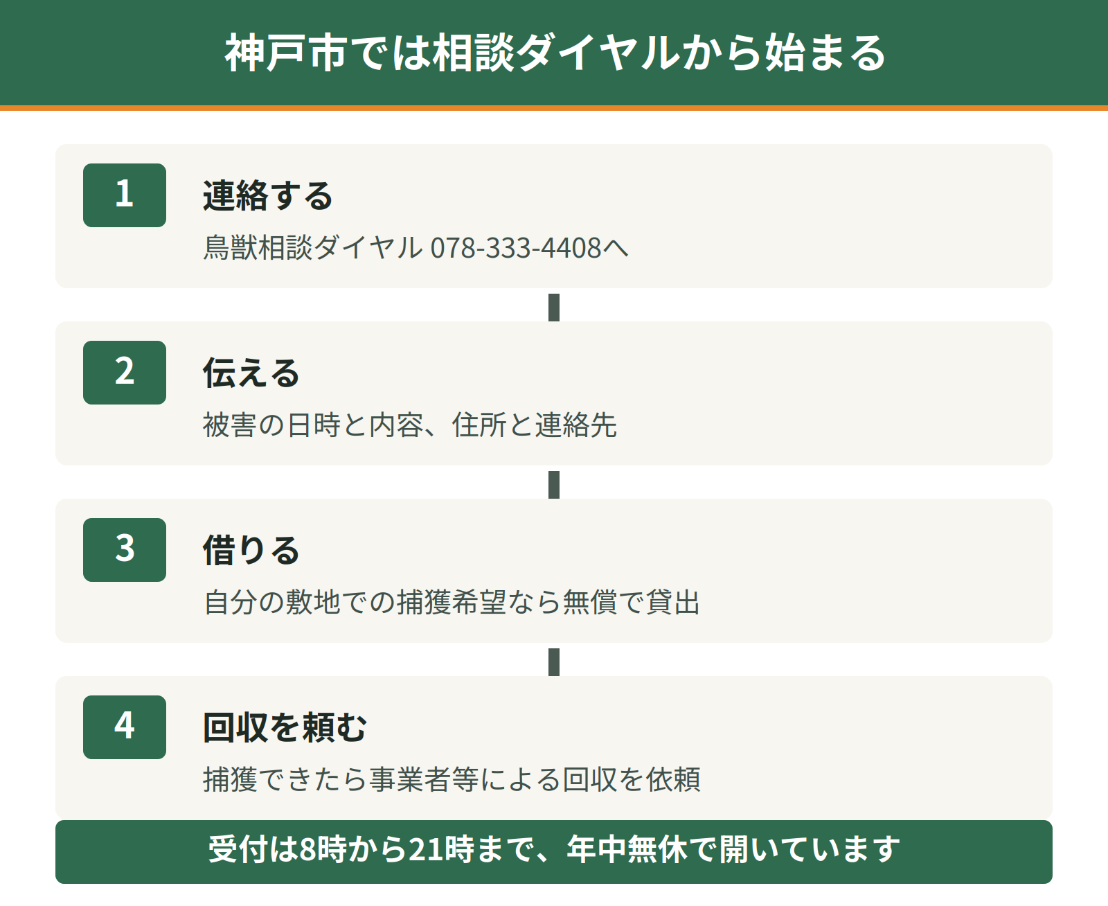 神戸市でアライグマの被害を受けたときの流れ｜相談ダイヤルへ連絡し、無償で捕獲檻を借り、回収を依頼する