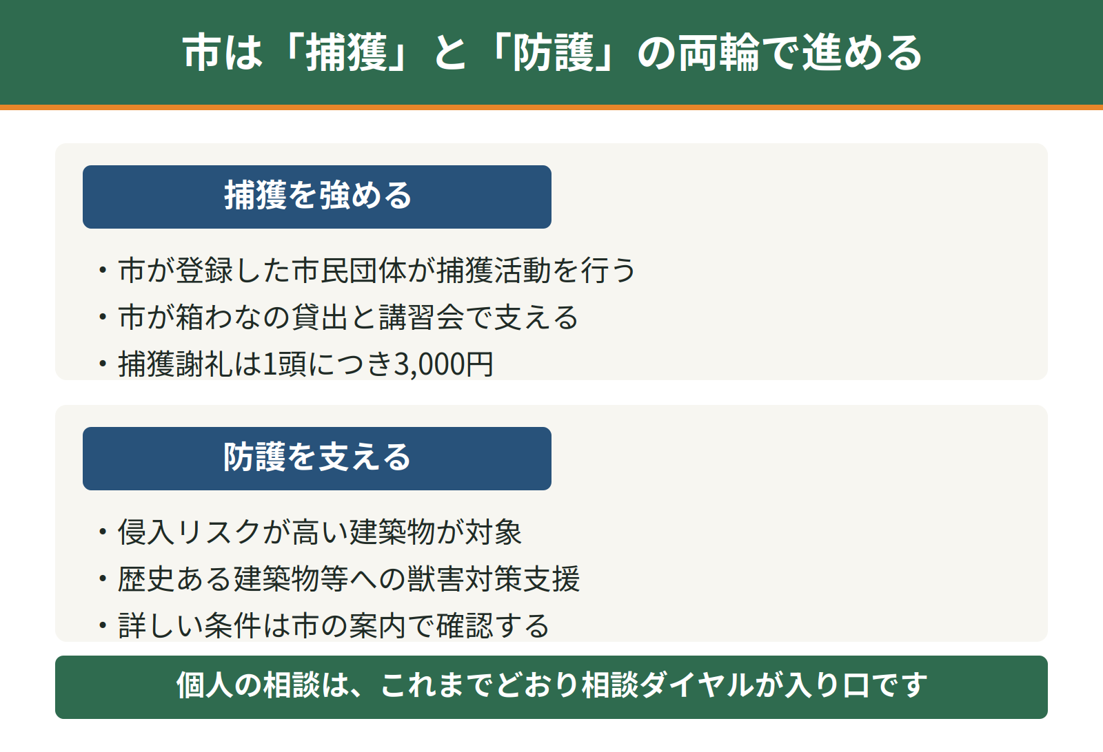 神戸市が2026年に開始したアライグマ対策の2つの取り組み｜市民団体による捕獲強化と建築物への獣害対策支援