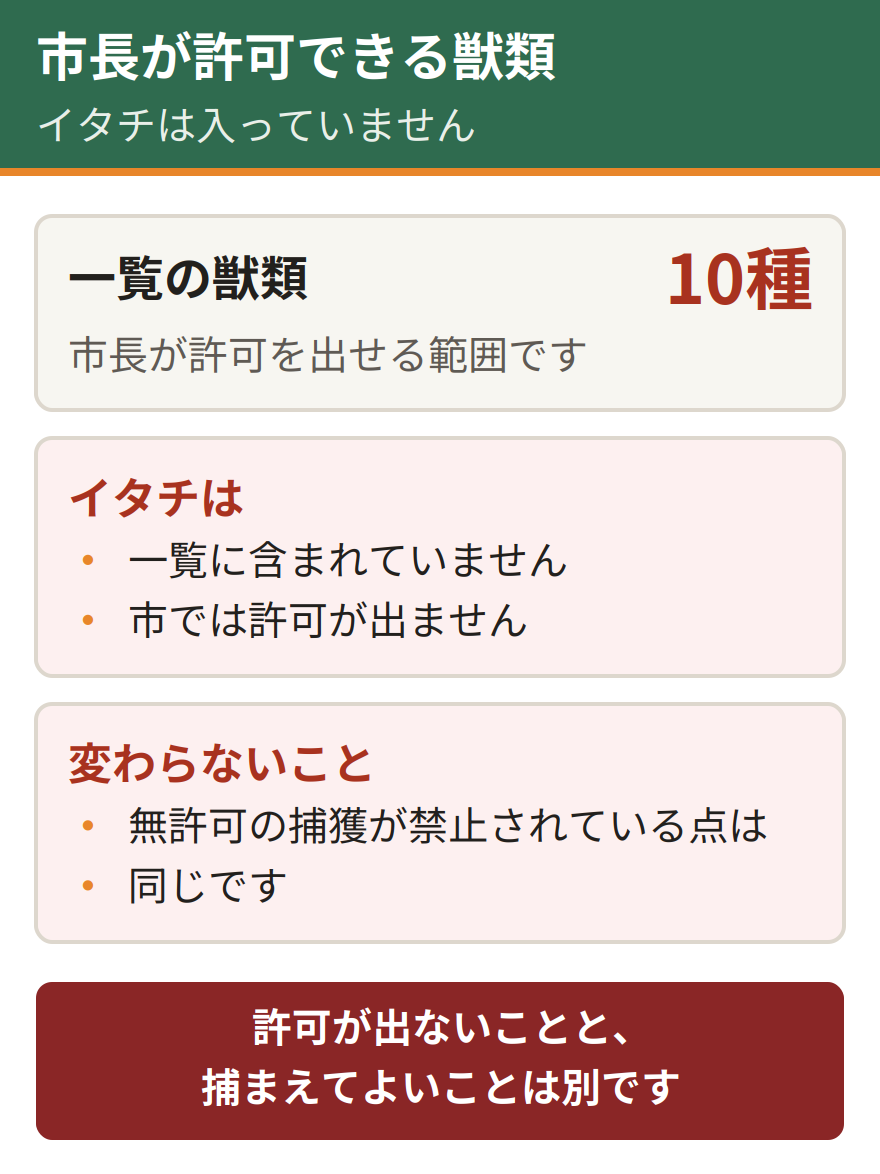 神戸市長が捕獲を許可できる獣類の一覧には10種が並ぶが、イタチは含まれていない。ただし捕獲そのものが禁止されている点は変わらない