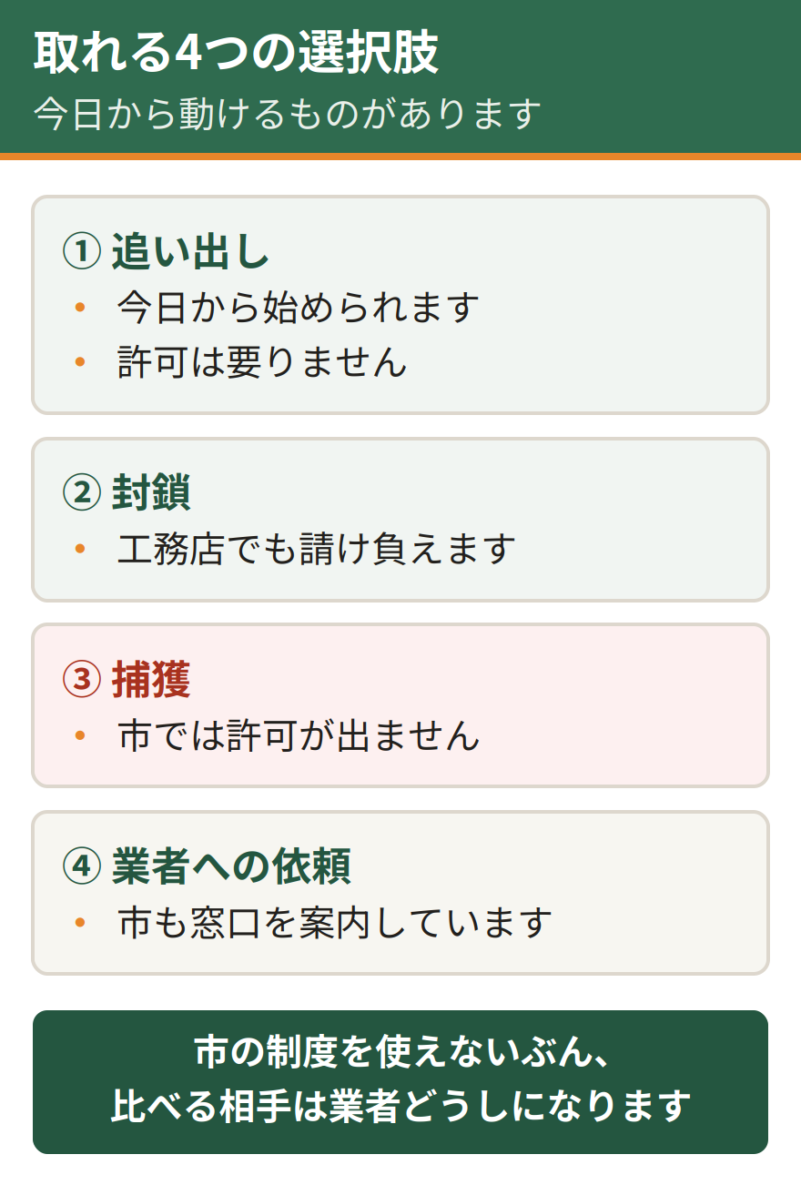 神戸でイタチの被害に遭ったときに取れる4つの選択肢。追い出しは今日から始められる、封鎖は工務店でも請け負える、捕獲は県への申請が要る、業者への依頼は市も窓口を案内している