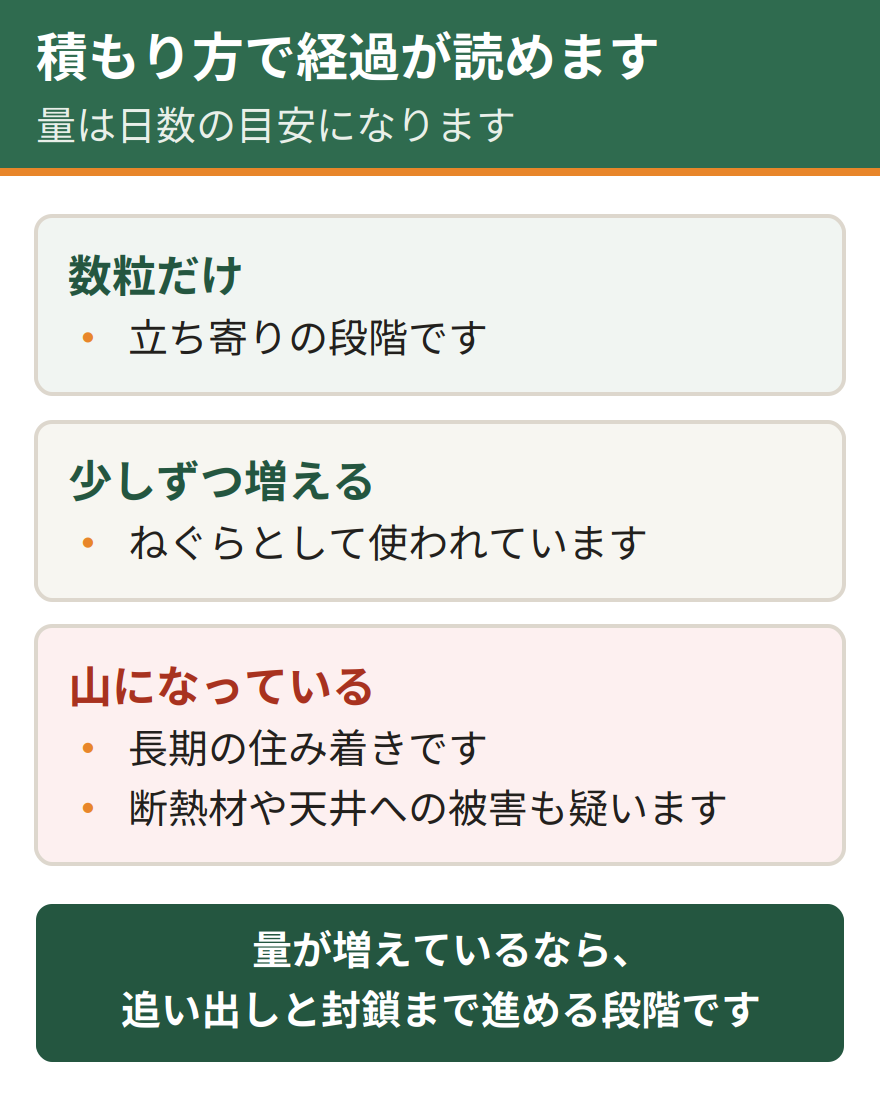 コウモリの糞の積もり方から経過を読む方法。数粒だけなら立ち寄りの段階、少しずつ増えているならねぐらとして使われている段階、山になっているなら長期の住み着き。積もった量は日数の目安になる