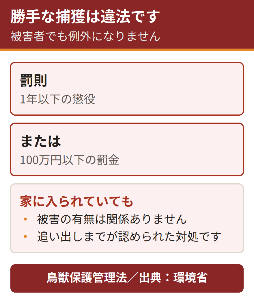 コウモリを無許可で捕獲または殺傷した場合の罰則。鳥獣保護管理法違反となり、1年以下の懲役または100万円以下の罰金が科される。被害を受けている本人であっても例外にはならない。出典は環境省