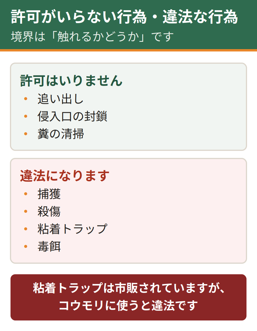 コウモリへの対処で許可が不要な行為と違法になる行為の一覧。追い出し、侵入口の封鎖、糞の清掃は許可が不要。捕獲、殺傷、粘着トラップ、毒餌は違法になる
