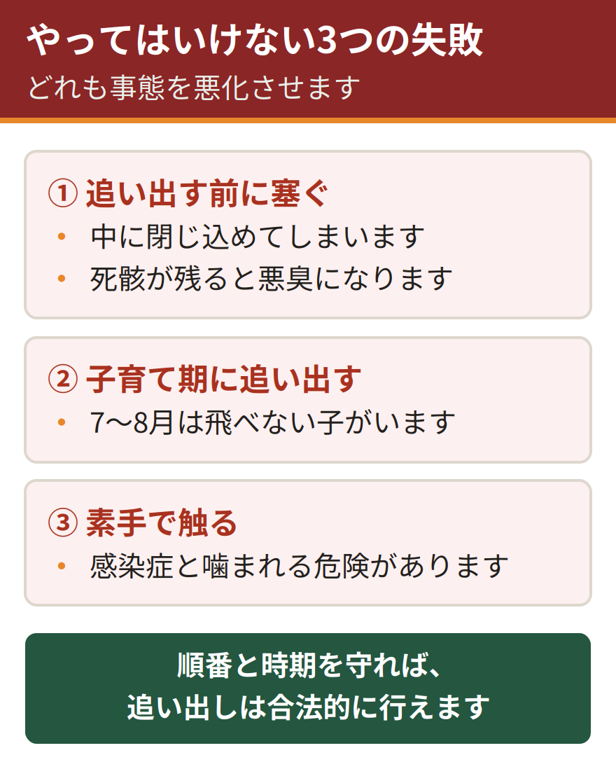 コウモリ対策でやってはいけない3つの失敗。追い出す前に侵入口を塞ぐと中に閉じ込めてしまう、7月から8月の子育て期に追い出すと飛べない子が取り残される、素手で触ると感染症と怪我のリスクがある