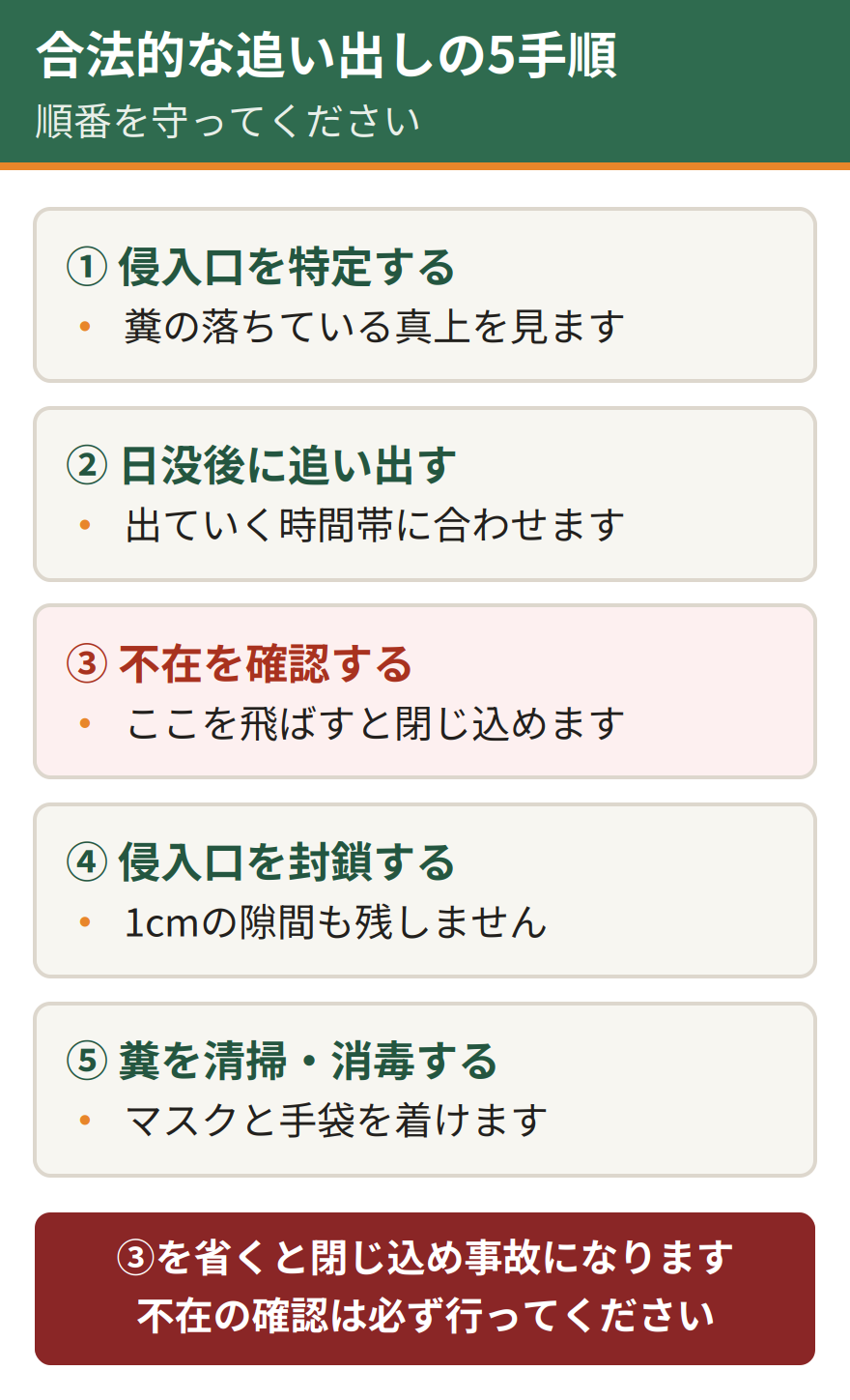 合法的にコウモリを追い出す5つの手順。侵入口を特定する、日没後に忌避剤で追い出す、不在を確認する、侵入口を封鎖する、糞を清掃して消毒する。順番を守らないと閉じ込め事故につながる