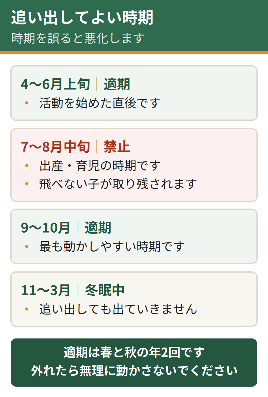 コウモリ駆除に適した時期。4月から6月上旬と9月から10月は追い出しの適期。7月から8月中旬は出産と育児の時期のため追い出しをしてはいけない。11月から3月は冬眠中のため追い出せない