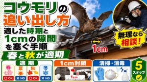 コウモリの追い出し方｜適した時期と1cmの隙間を塞ぐ手順｜軒下を飛ぶコウモリと屋根裏を調査する作業員、春と秋の適期と1センチの隙間封鎖のイメージ